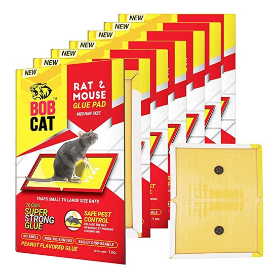 Best Rat Control Solutions in India: Why Rat Glue Pads Are the Smartest Choice in 2025
