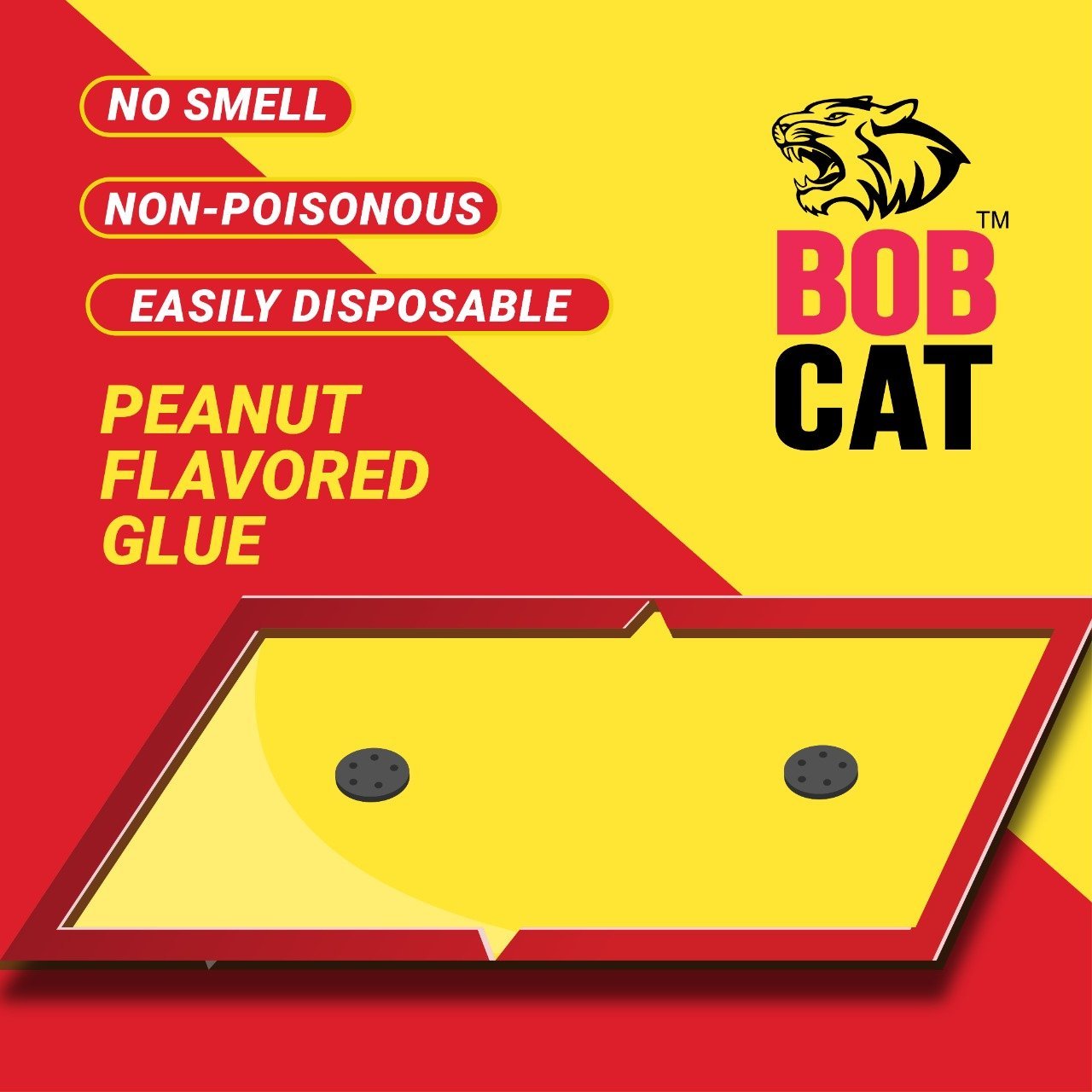 rat glue pad trap